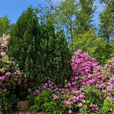 Haus Wellenbaer Tatil Evi Böhl