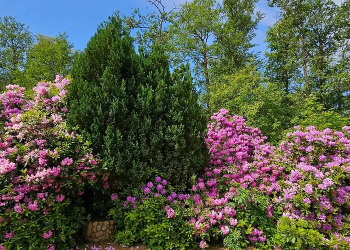 Haus Wellenbaer Vakantiehuis Böhl